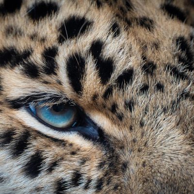 photo-1588654364310-34cbc935f792