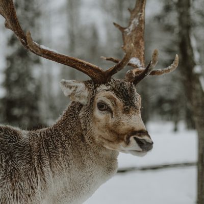 photo-1671394507023-76c50b824053